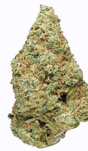 mydrugs-cafe-cannabis-smoke