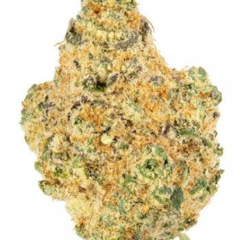 Amnesia - 🔥İlk Denemede Farkı Hisset (1gr) 🦉